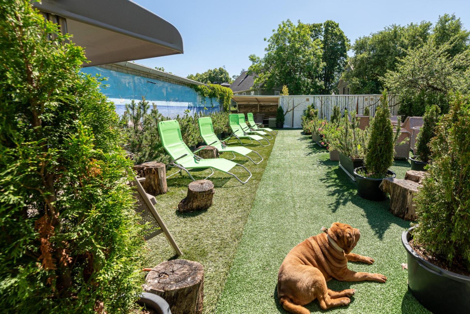 Garden Camping タリン エクステリア 写真