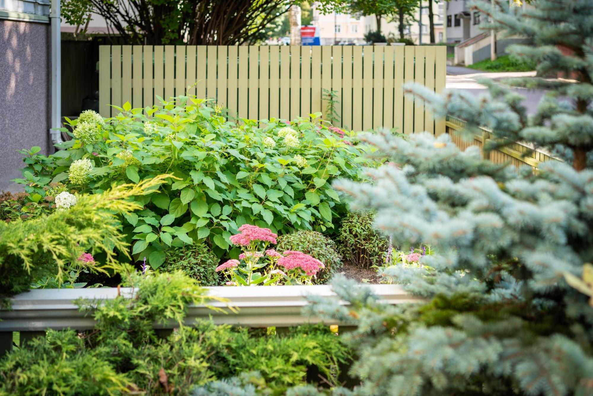 Garden Camping タリン エクステリア 写真